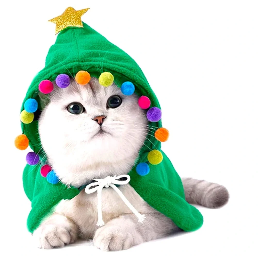 Pet Christmas Costume w/ Cat Collar